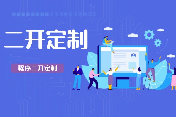 程序二开定制业务